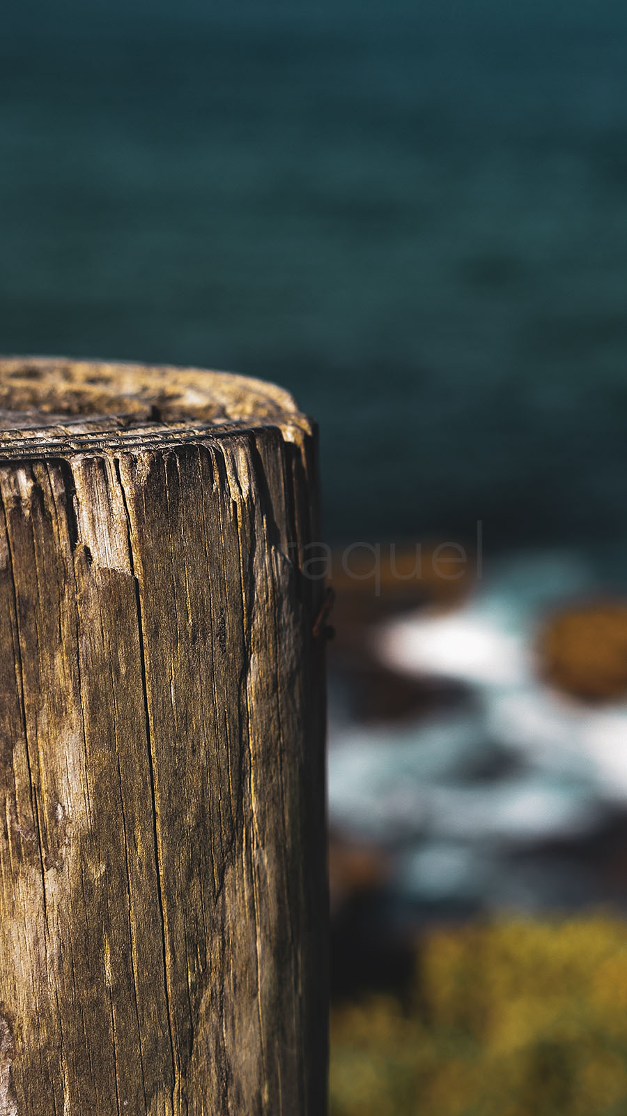 Coastal Stillness
