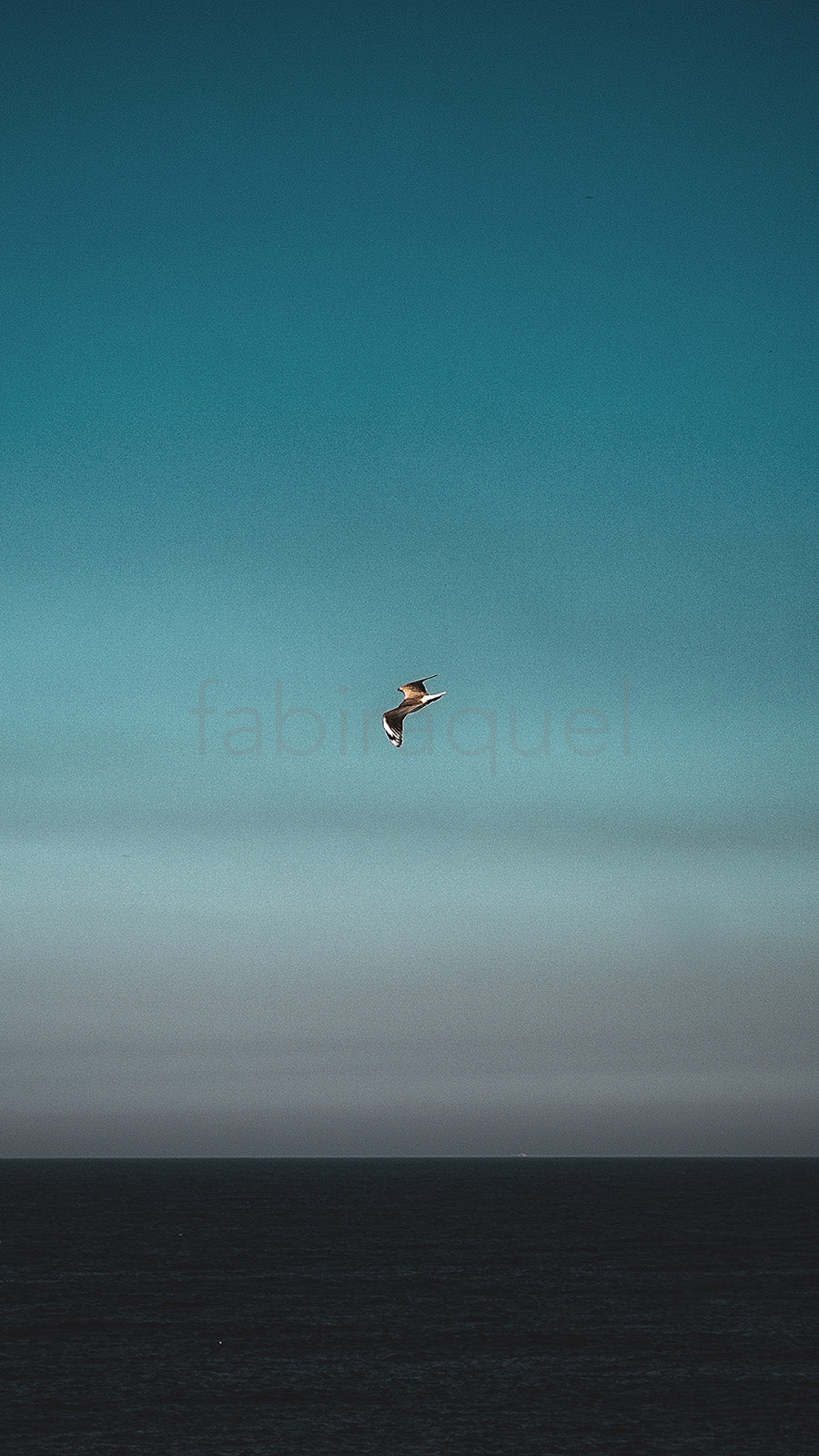 Gentle Breeze
