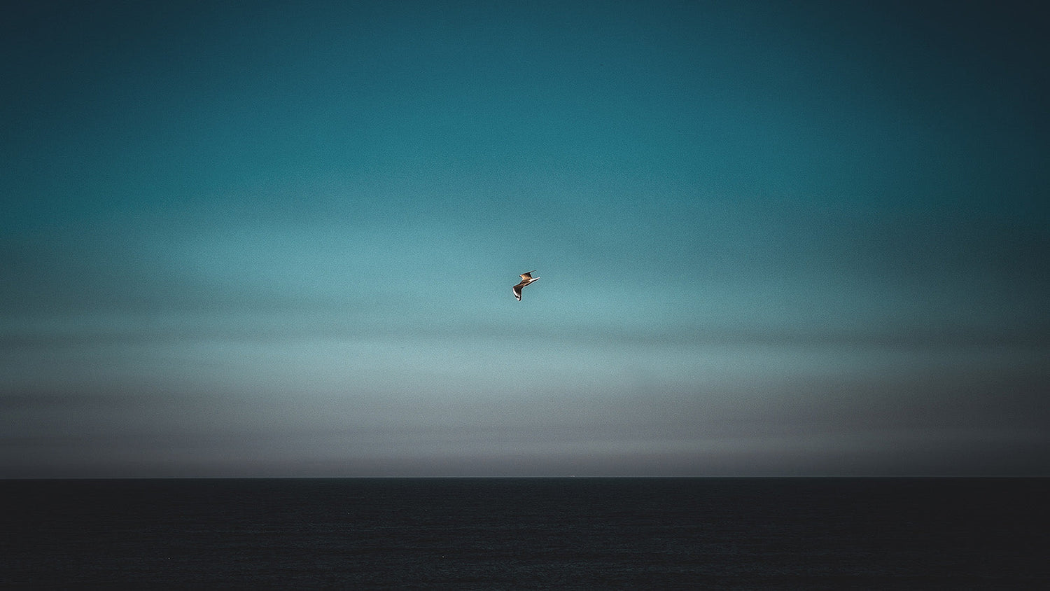 QUIET FREEDOM