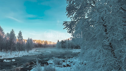 COLD SERENITY (Premium)