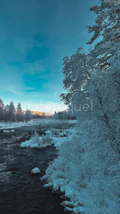 COLD SERENITY (Premium)