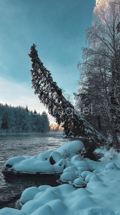 Endless White