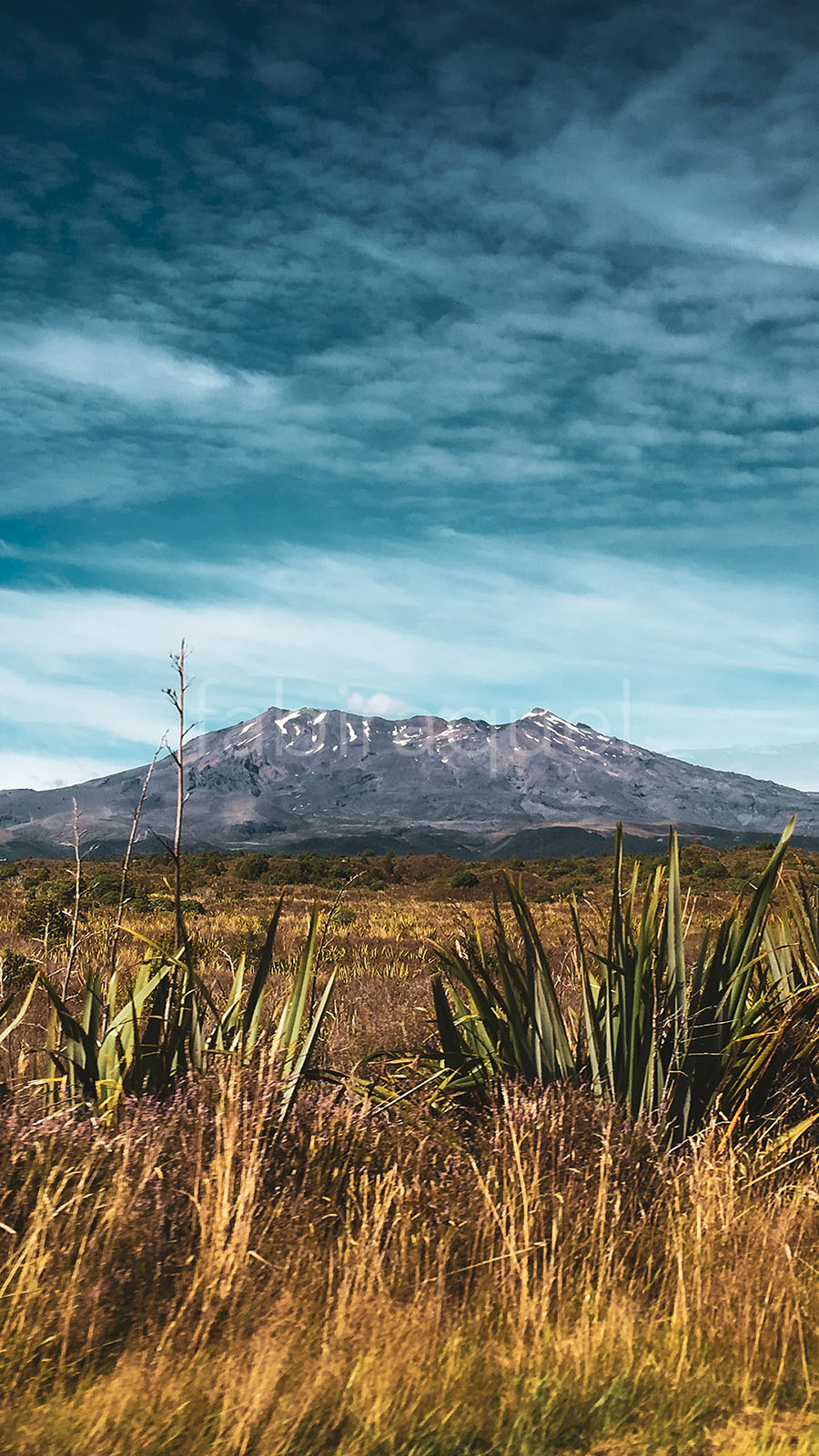 Living Earth