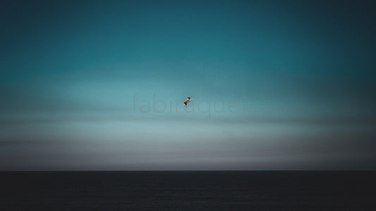 Gentle Breeze
