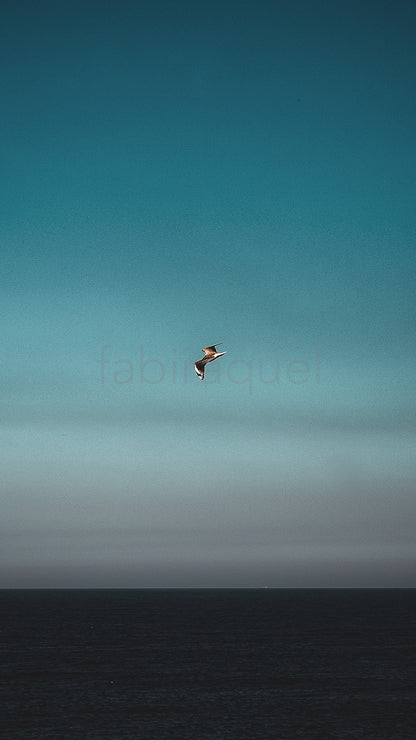 Gentle Breeze
