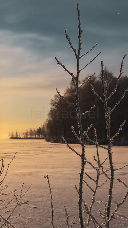 Soft Horizon