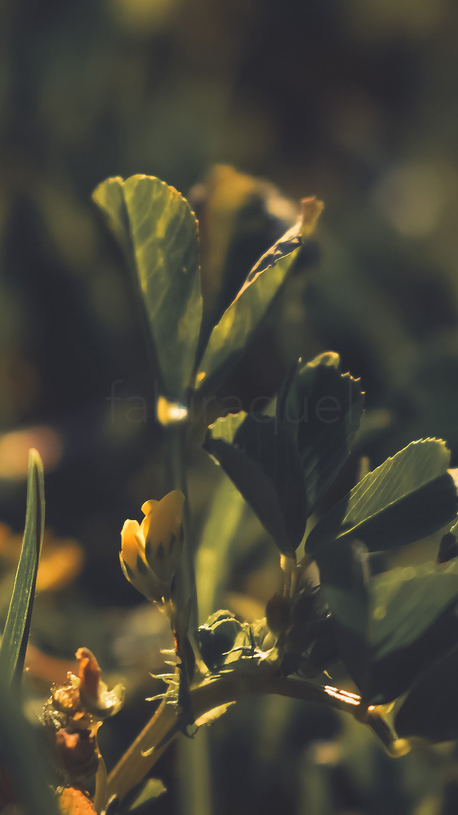 Deep Nature