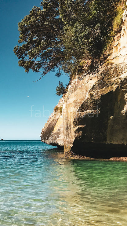 VIVID NATURE (Premium)