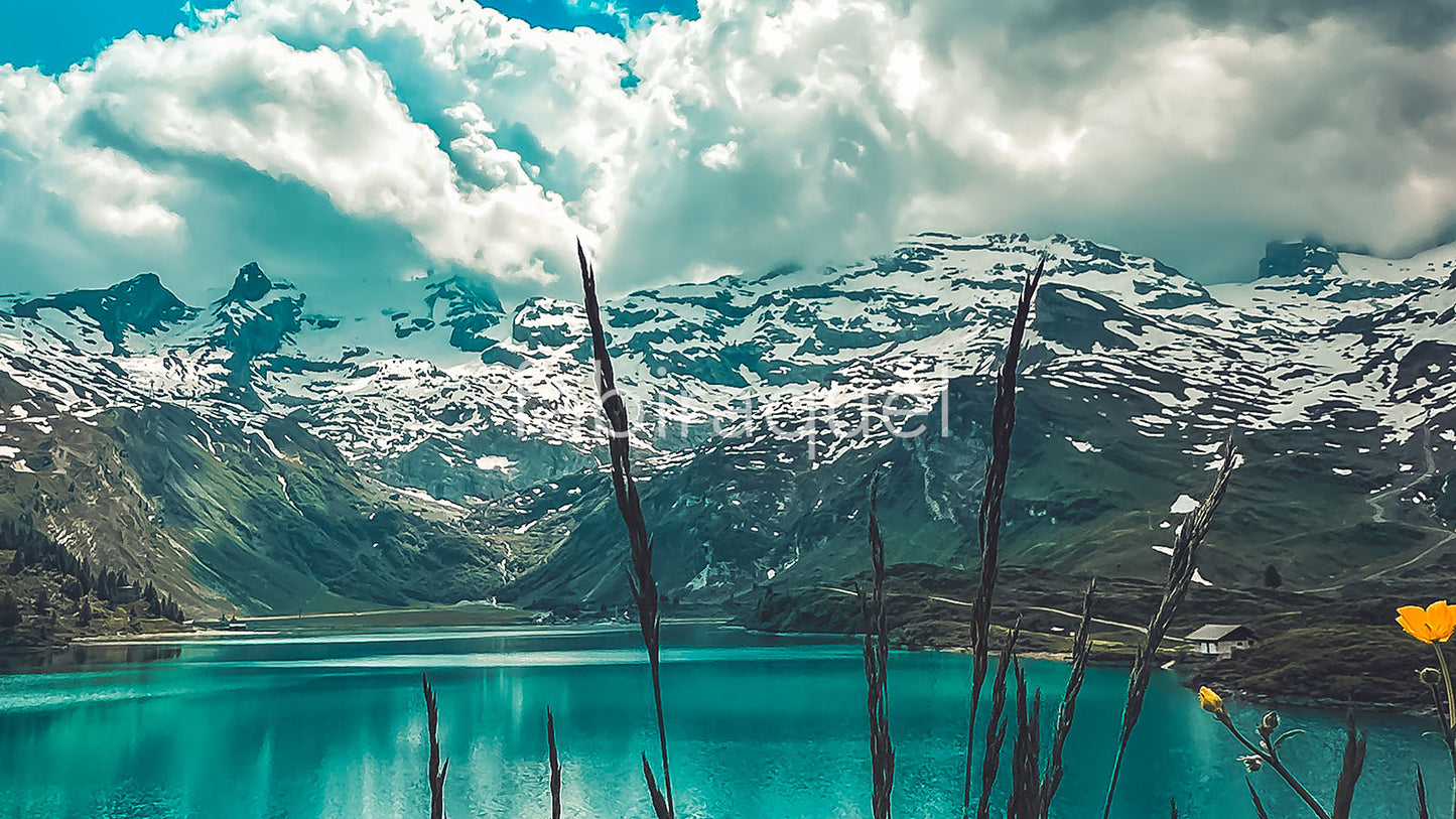 Alpine Silence