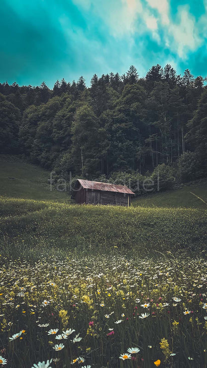 Within the Green